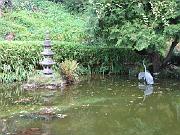 San Fran Vacation 139